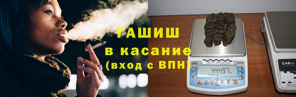 гидра Абаза