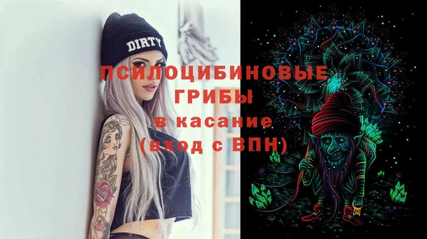 гидра Абаза