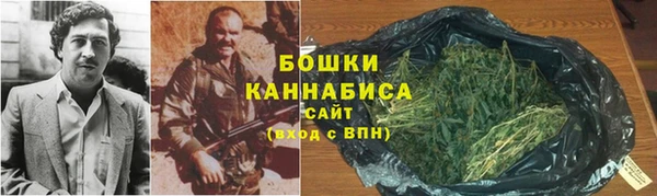 ПСИЛОЦИБИНОВЫЕ ГРИБЫ Осташков