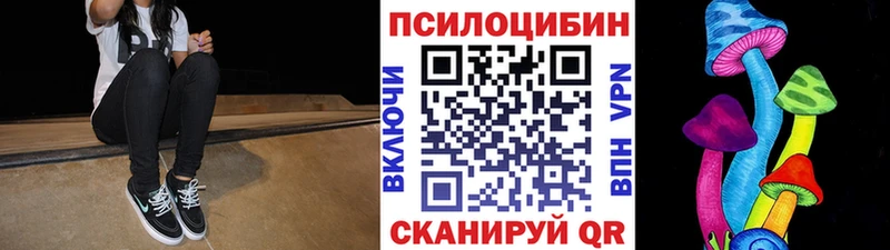 Галлюциногенные грибы Psilocybe Иланский