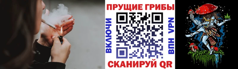 Псилоцибиновые грибы ЛСД  купить наркотик  Иланский 